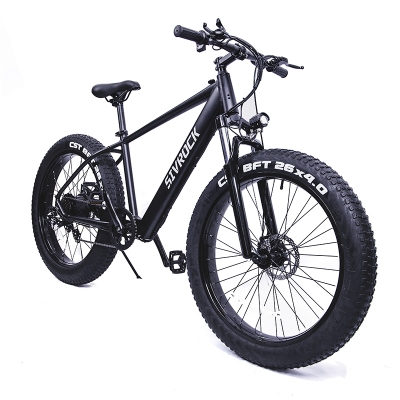 Sivrock Ebike - Image 2