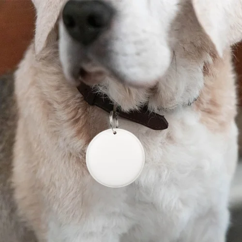 GPS Tracker For Your Pet - Image 2